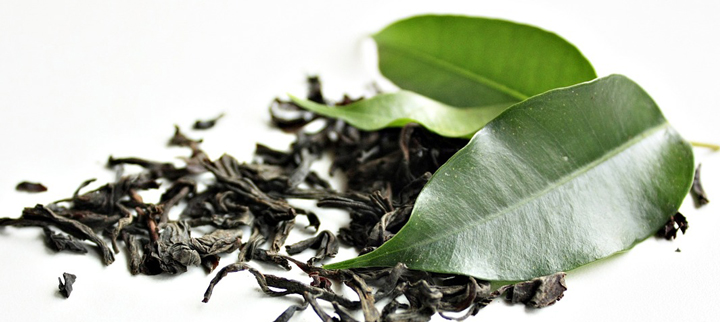 Zelený čaj je základem pro dobrý stav imunitního systému