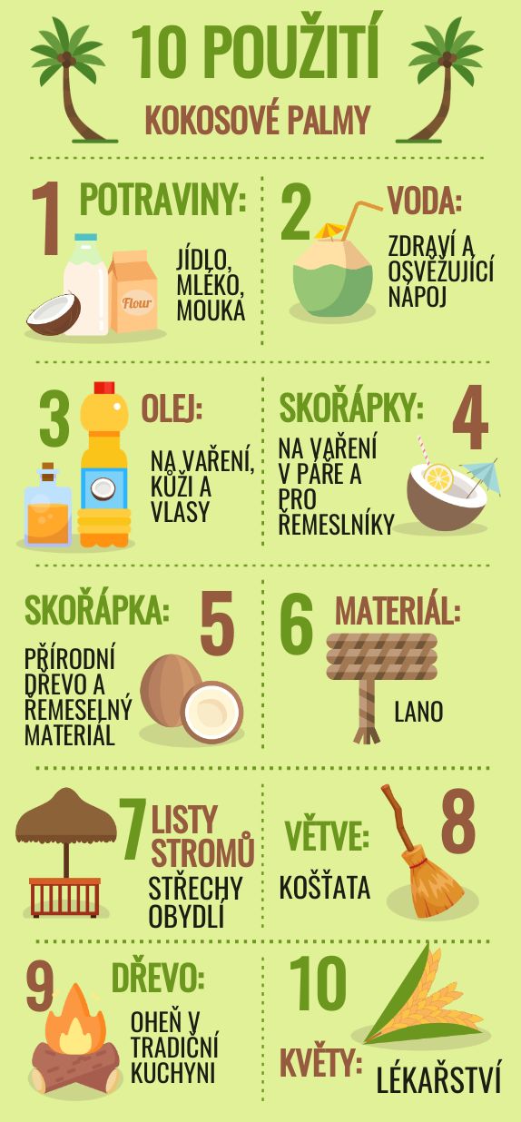 10 použití kokosové palmy
